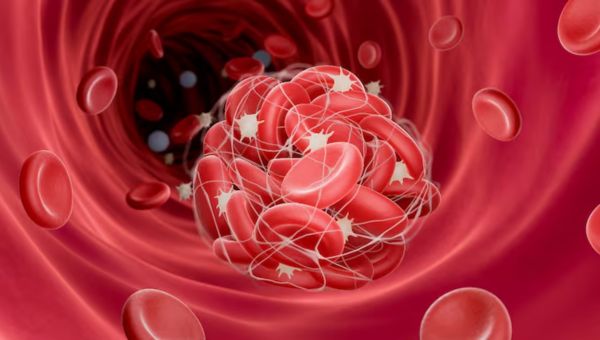 Image20260306-thrombophilia